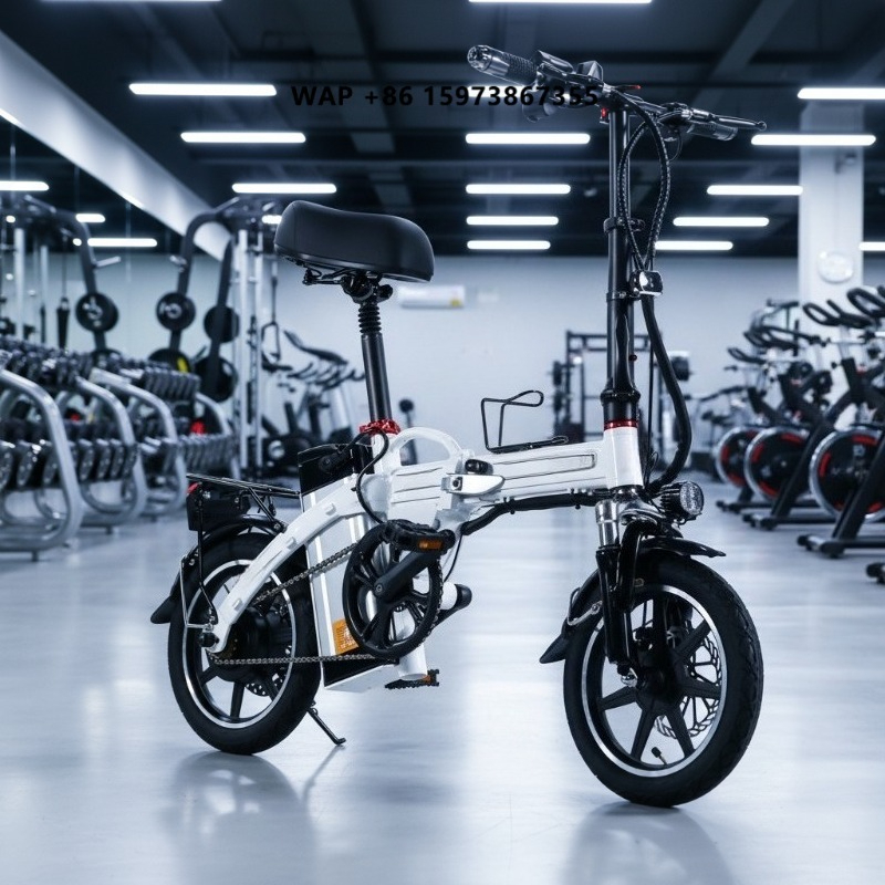 Bicicletta Elettrica Pieghevol - Commuting With Bike recensione e prezzo